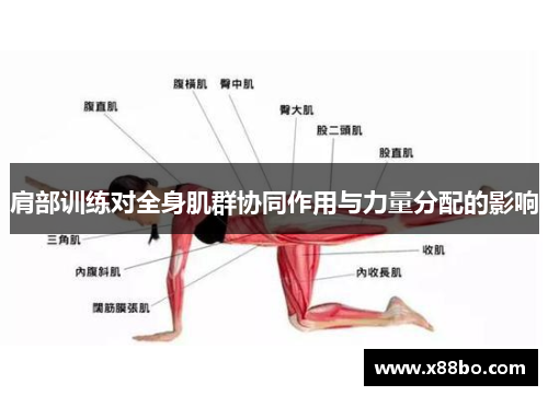 肩部训练对全身肌群协同作用与力量分配的影响